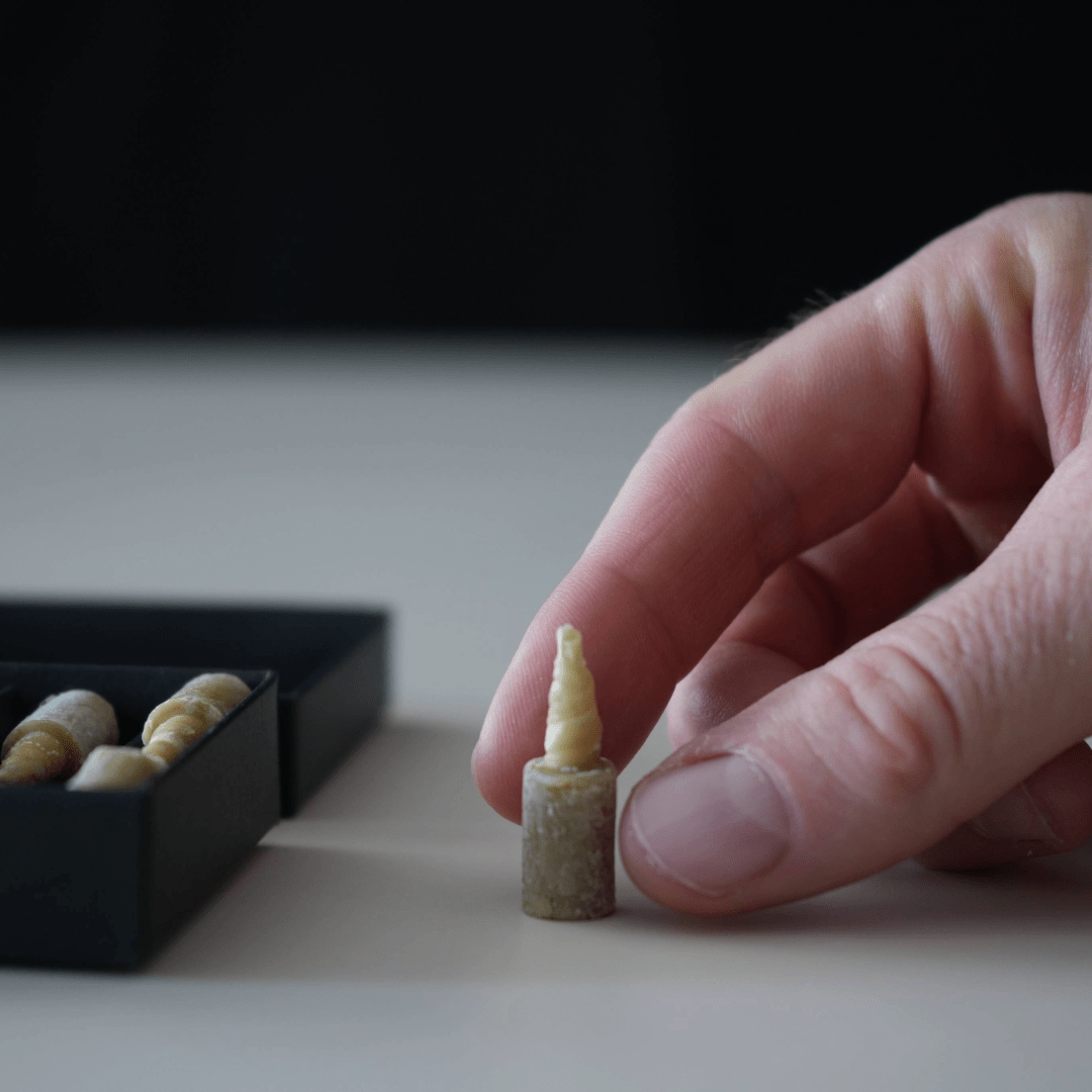 Mindfulness Candles (Full Set) - Shi - Zen